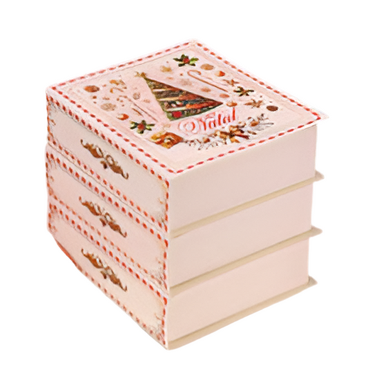 Caixa Livro Natal (5 unidades)